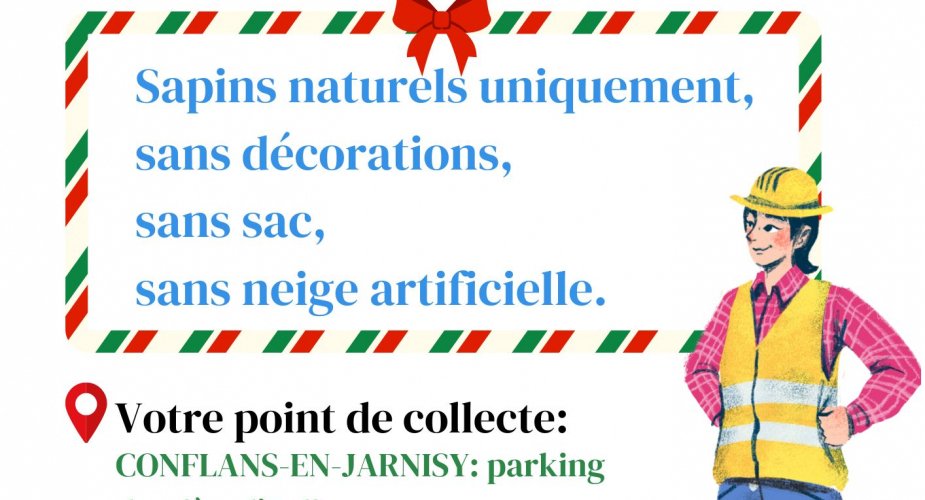 Collecte de sapins de Noël